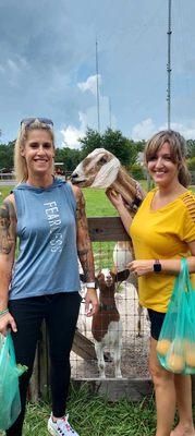 First Ladies Farm And Sanctuary