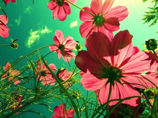 Personalized Home Care