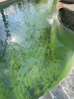 Tuxedo Pool Service Inc