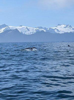 Great Alaska Adventure Lodge