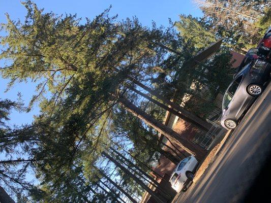 St Francis Catholic School