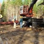 Granite State Forestry Service