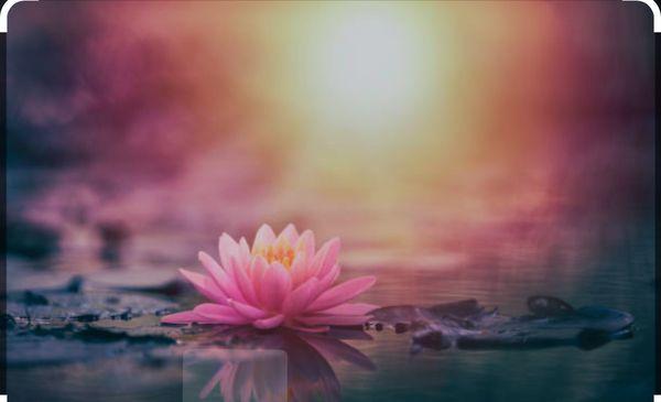 Divine C Activated by Grace