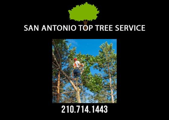 San Antonio Top Tree Service