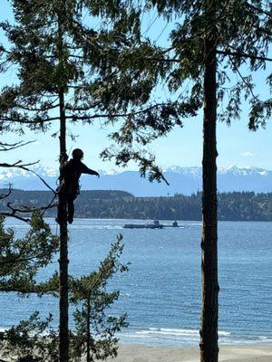 Removing trees on the water in Port Ludlow and got to see the submarine pass through.