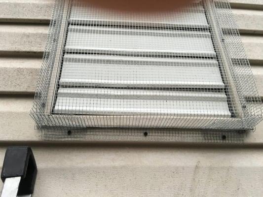 A Bighead Pest Control