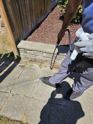 Alternative Pest Solutions PLLC