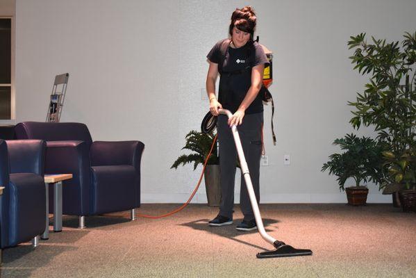 Standard Solutions Maintenance Group