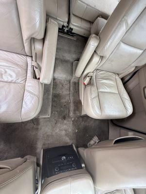 Dirty Dawg Car Detailing