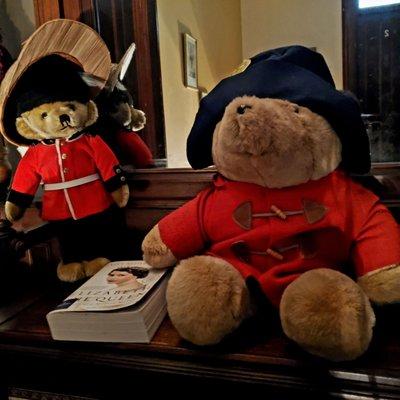 Our new little friends