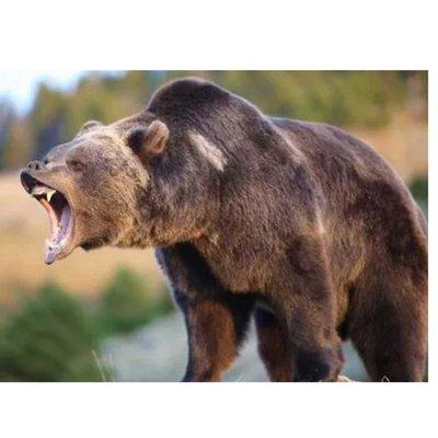 Lakeshore Learning Store