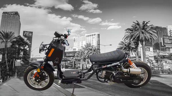 Rapid Scooter Rental