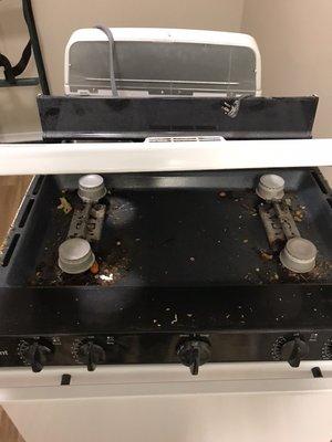 Peacock Cleaning Service