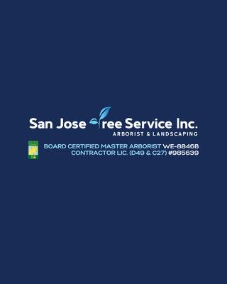 San Jose Tree Service