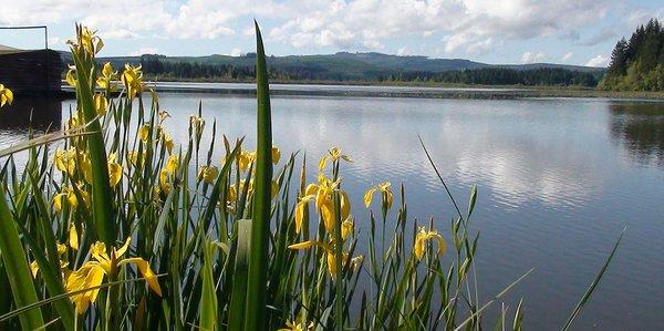 Mt. St Helens RV Resort