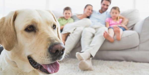 Welcome Cleaning Services