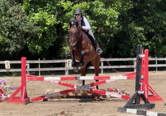 Tavia Equine Center