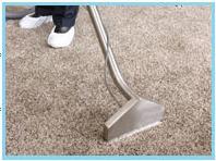 Carpet Cleaner Kingwood