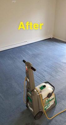 Gentle Giant Services