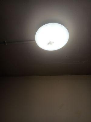 Don't move in here. WE ARE FULL OF RATS 0 CLEANINLESS OLD DIRTY PAVEMENTS BROKEN FLOORS EXAMPLE.