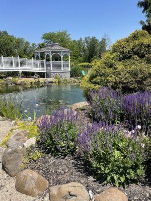 Gazebo and pond