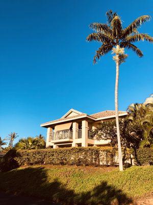 Vintage At Kaanapali AOAO