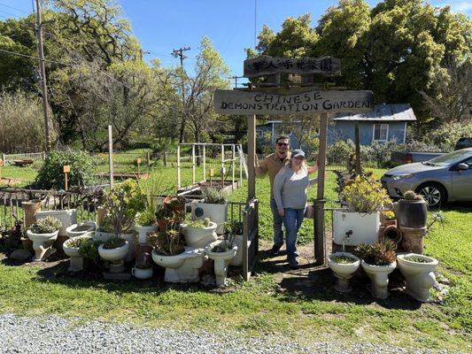 The toilet garden in Locke