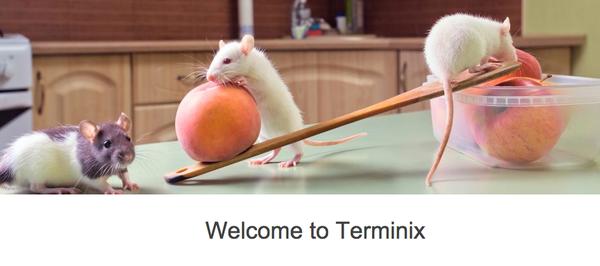Terminix Pest Control
