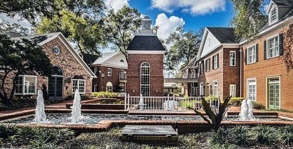 Rise Up Mental Health & Wellness Services