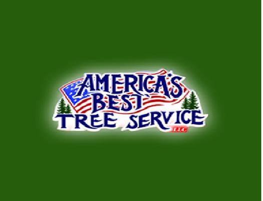 Healy's America's Best Tree Service