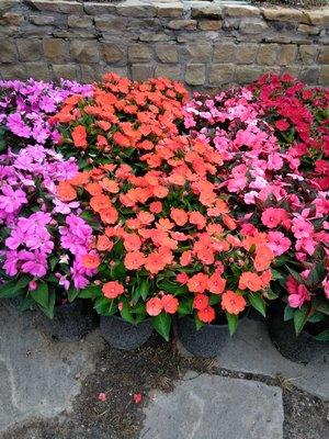 Audrey's Landscaping & Tree Services