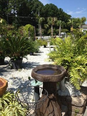 Jackson's Nursery & Landscape Center