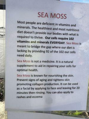 Joe's Foreign Automotive