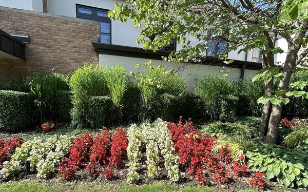 Trimmed bushes and garden maintenance