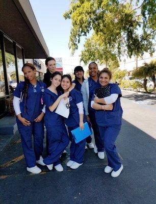 Career Development Institute