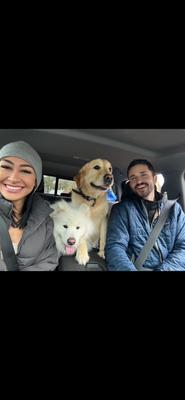 Land Management Solutions