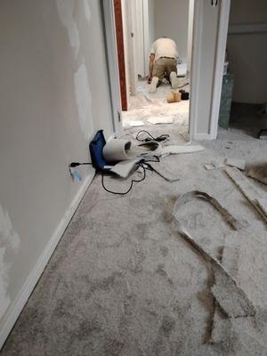 Absolute Restoration Plus