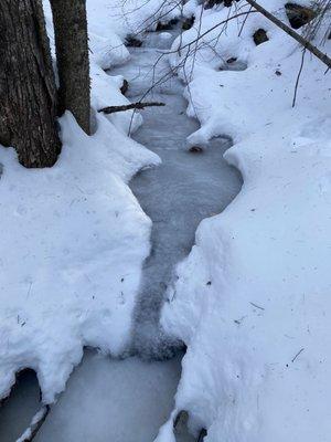 Walter/Newton Natural Trail Area