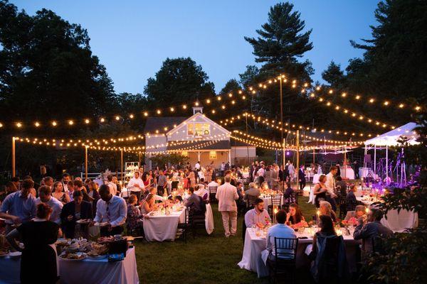 Zeenkov Photo and Video