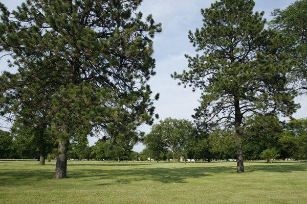 Fairview Memorial Park