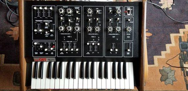 Octave Cat SRM2 synth.