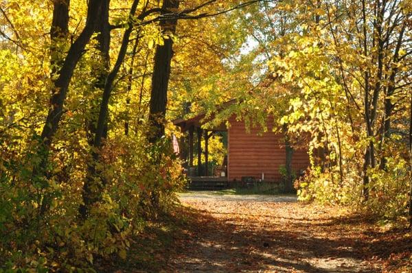 Enjoy all of the season in this cabin available for rent.