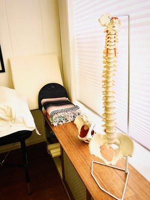 Treatment Area