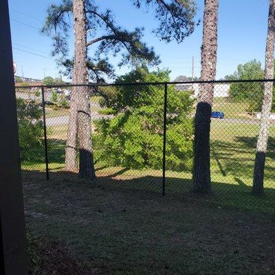 My view