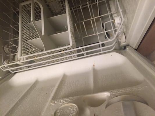 Dishwasher water won't drain and they don't fix it.