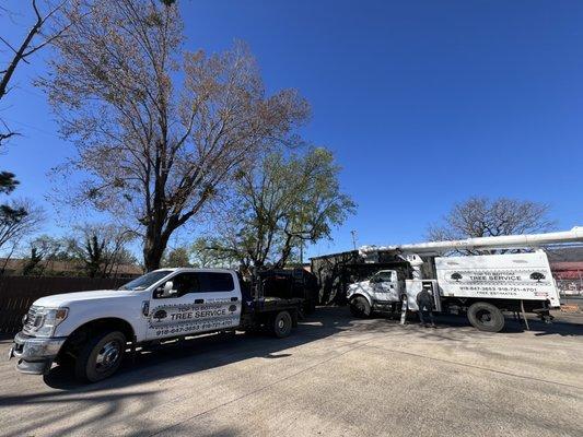 Top To Bottom Tree Service
