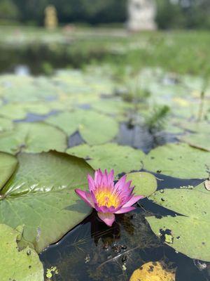 Brookgreen Gardens