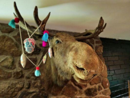 The Thirsty Lizard Bar + Grill + Events