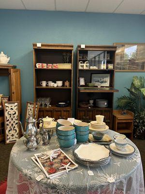 The Inspired Starfish