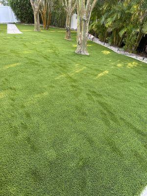 Perfect turf install from Artificial Turf Tampa. Dog approved!